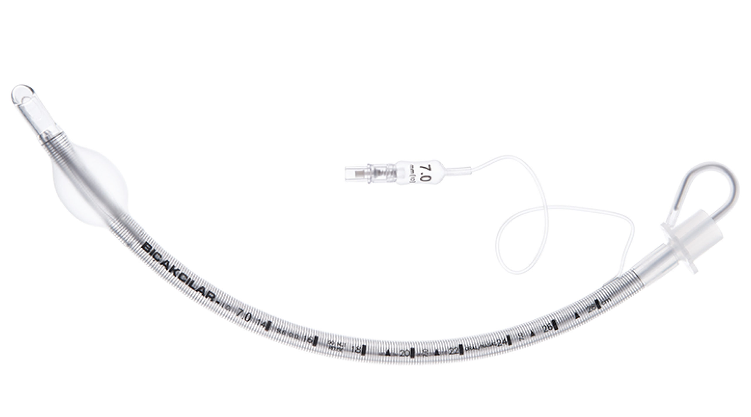 rein endo stile genel_Çalışma Yüzeyi 1 (1)